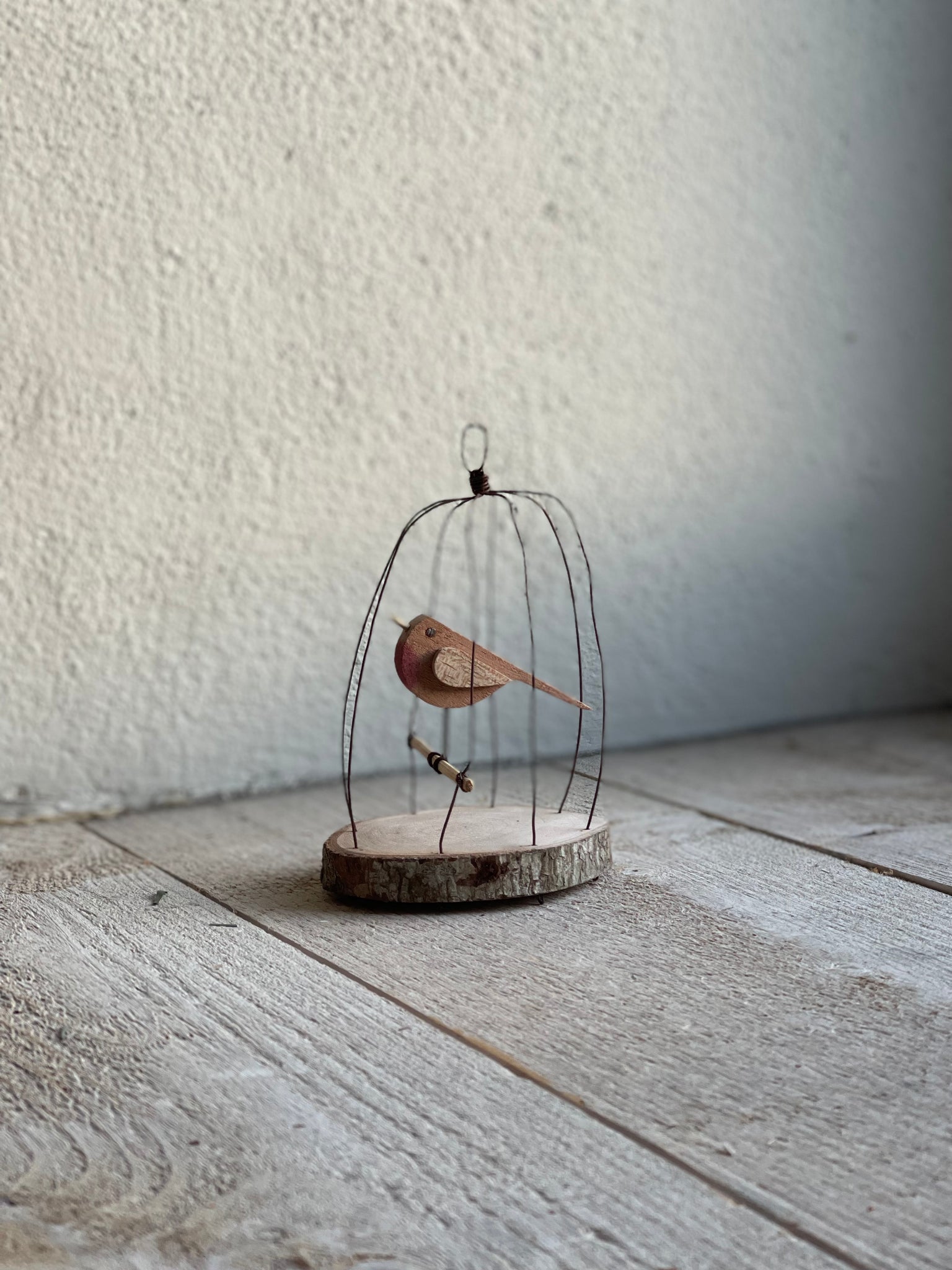 WynneHome Decorative Bird Cage