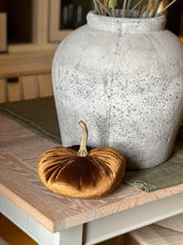 Load image into Gallery viewer, Brown Velvet Pumpkin
