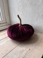 Load image into Gallery viewer, Medium Velvet Pumpkin Aubergine
